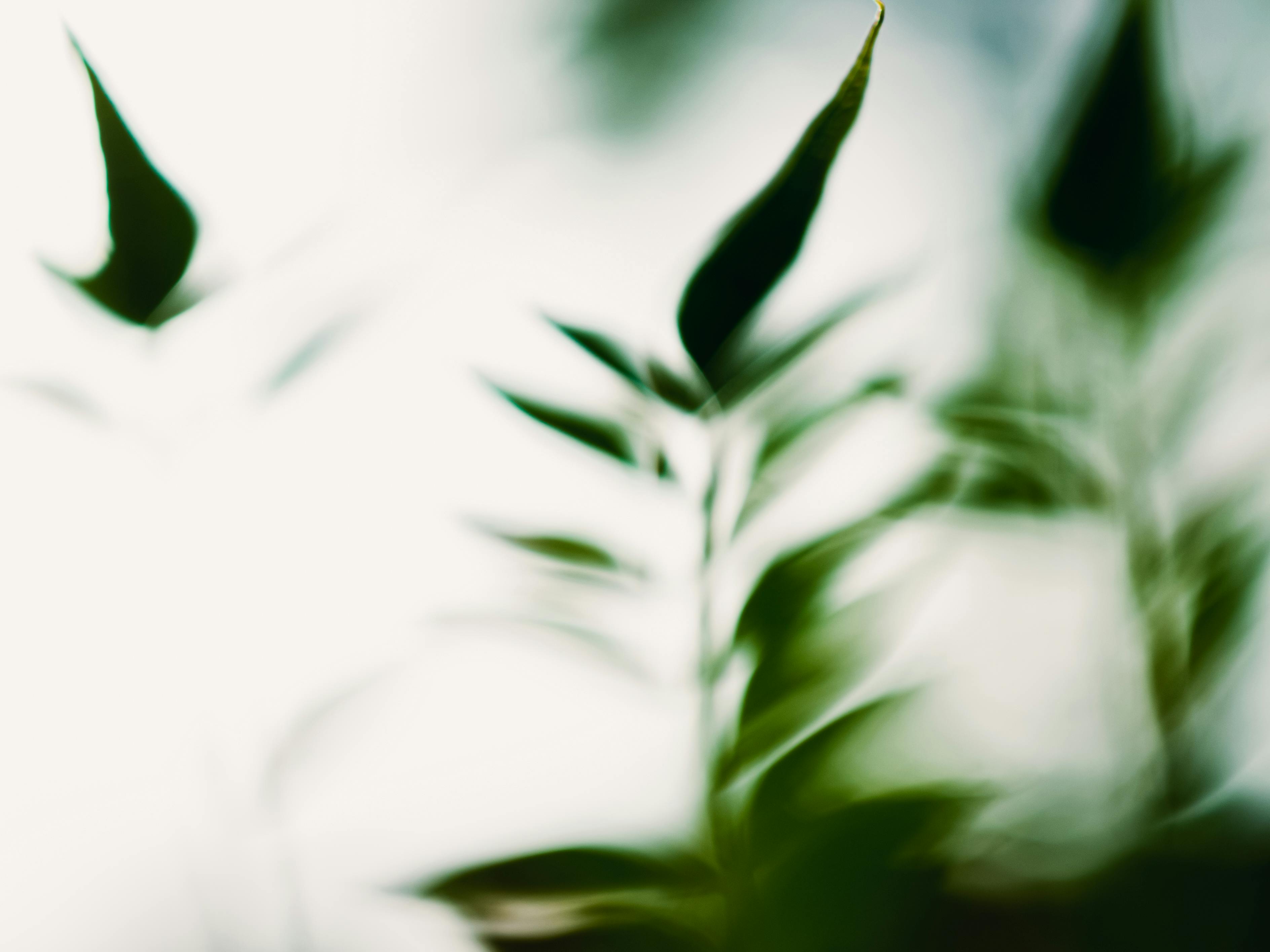 Moderne Praxisräume für Psychotherapie in Köln - gemütliche und professionelle Atmosphäre